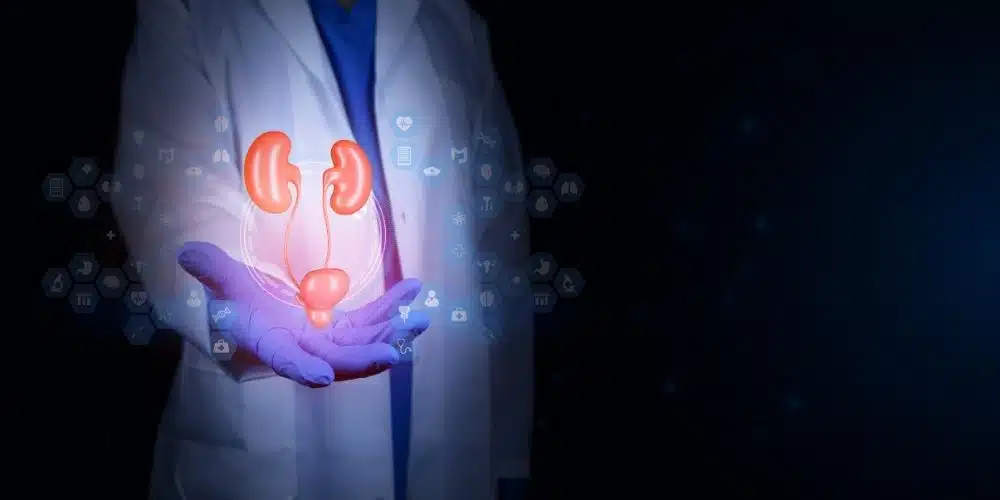 internal image to show stage of kidney disease
