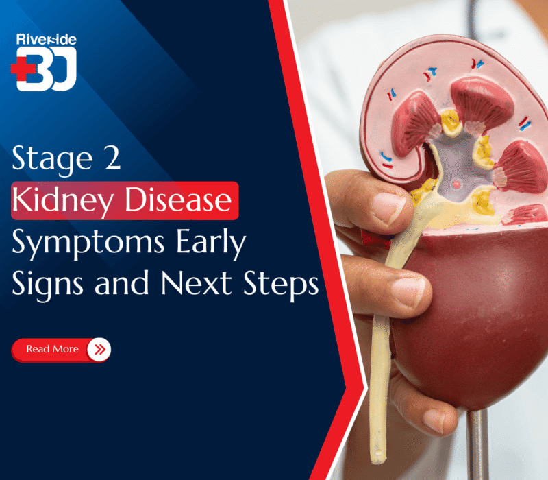 Feature image for Stage 2 kidney disease blog