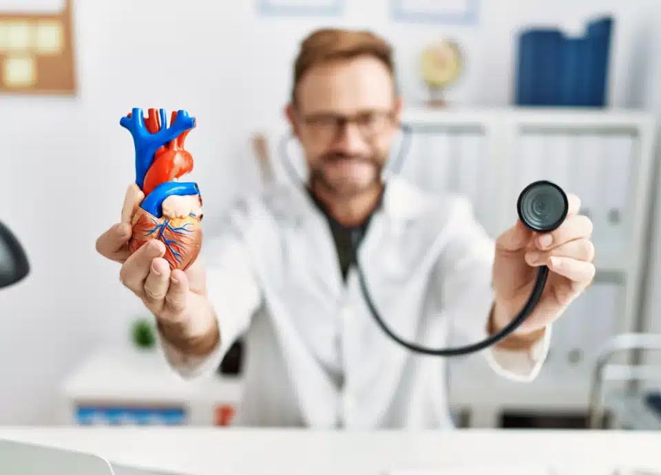 Doctor with heart model.