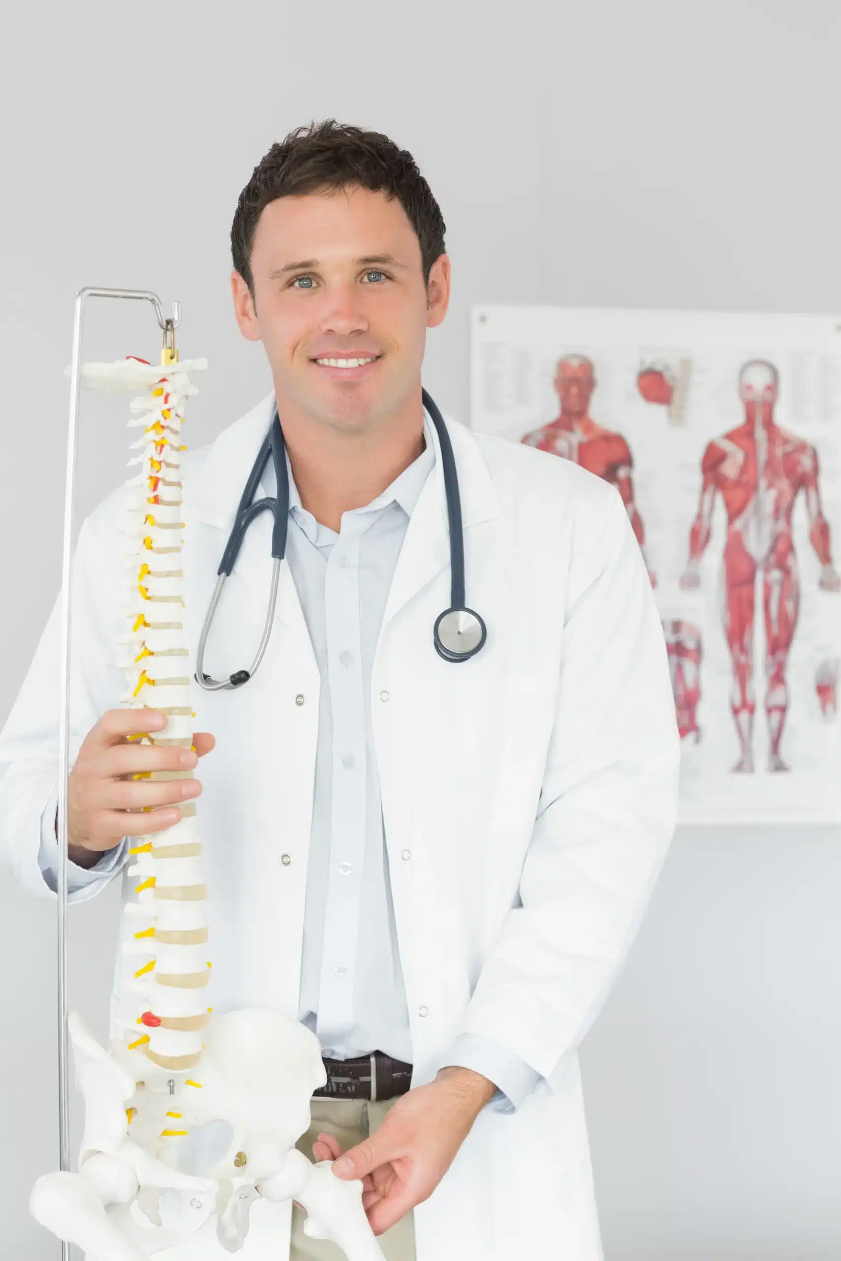 Doctor with spine model.