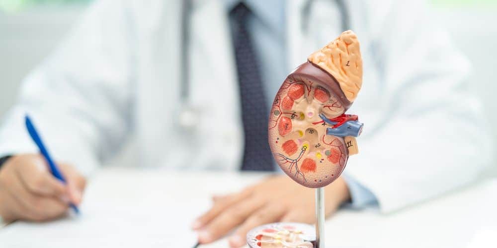 Internal image of chronic disease